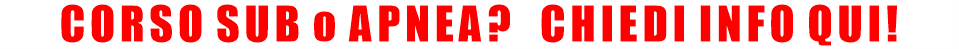 BANNERSUBwhite