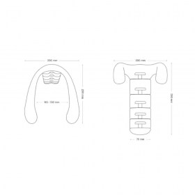 lobster-medium-size